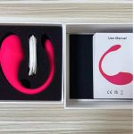 Wireless Bluetooth G Spot Dildo Vibrator for Women APP Remote Control Wear Vibrating Egg Clit Female Panties Sex Toys for Adults-XBO-VT-1801