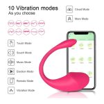 Wireless Bluetooth G Spot Dildo Vibrator for Women APP Remote Control Wear Vibrating Egg Clit Female Panties Sex Toys for Adults-XBO-VT-1801 - Image 3